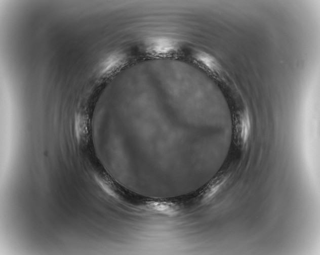 X0000084540654200703161629