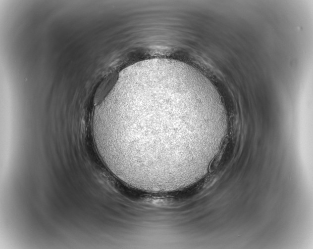 X0000084540655200703161629