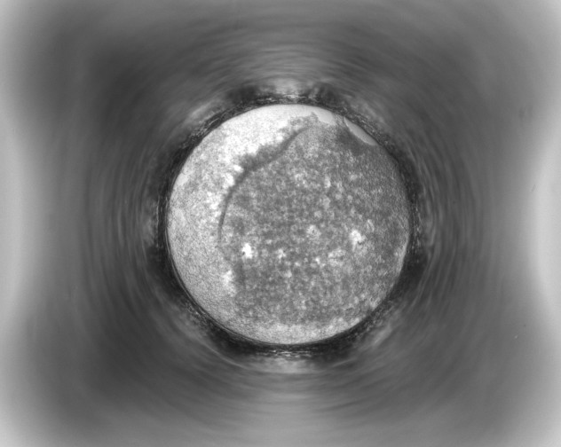 X0000084540656200703161629