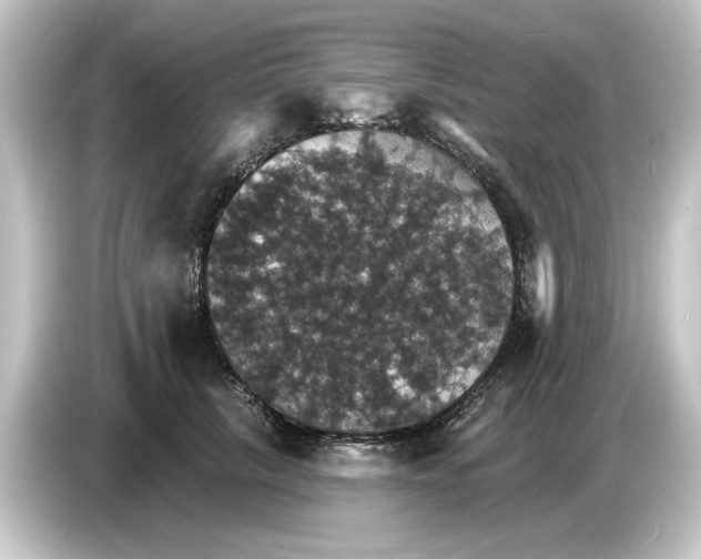 X0000084540657200703161629