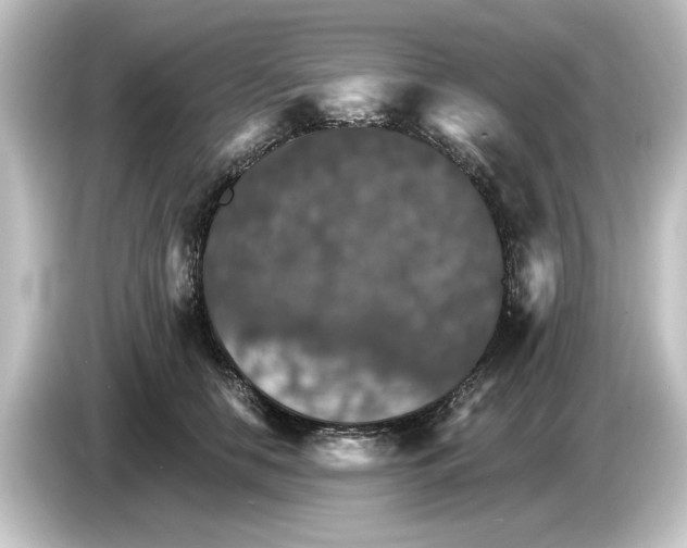 X0000084540658200703161629