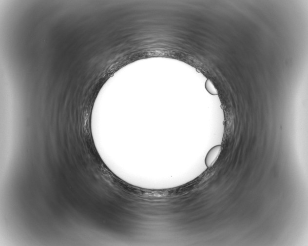 X0000084540660200703161629