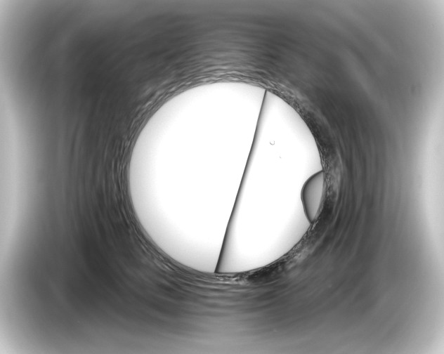 X0000084540661200703161629