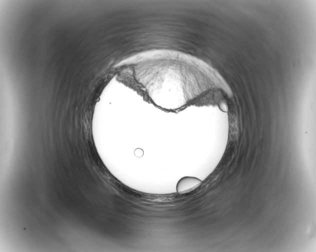 X0000084540662200703161629