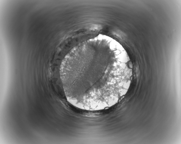 X0000084540664200703161629