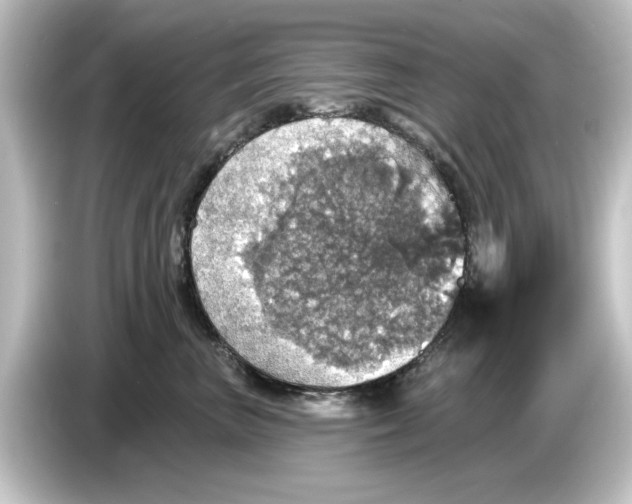 X0000084540667200703161629