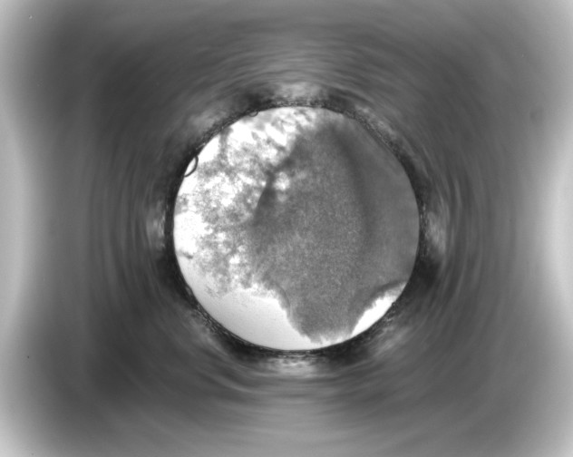 X0000084540668200703161629