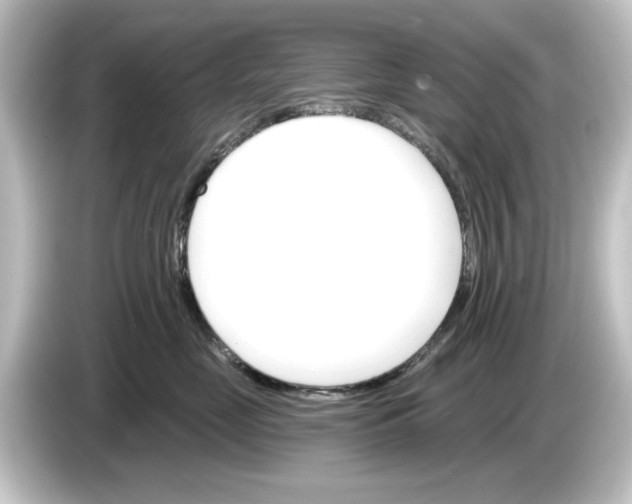 X0000084540669200703161629