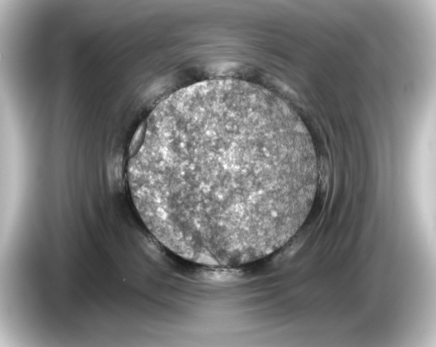 X0000084540670200703161629