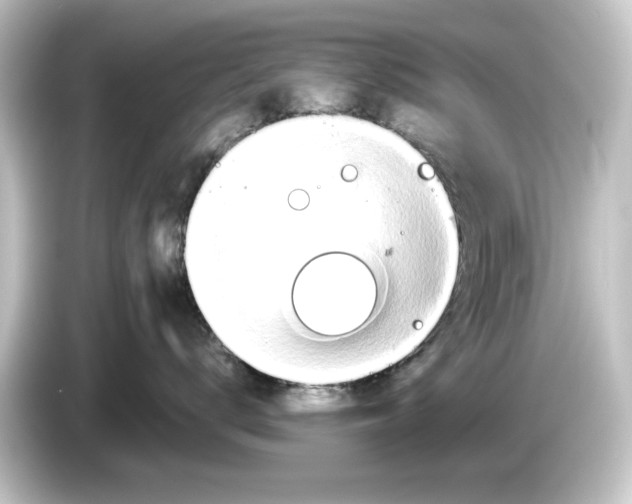 X0000084540672200703161629