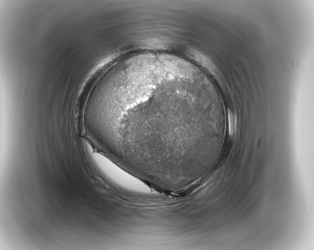 X0000084540675200703161628