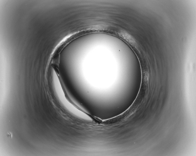 X0000084540676200703161628