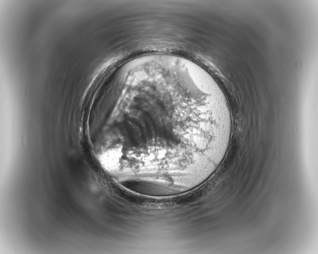 X0000084540679200703161628