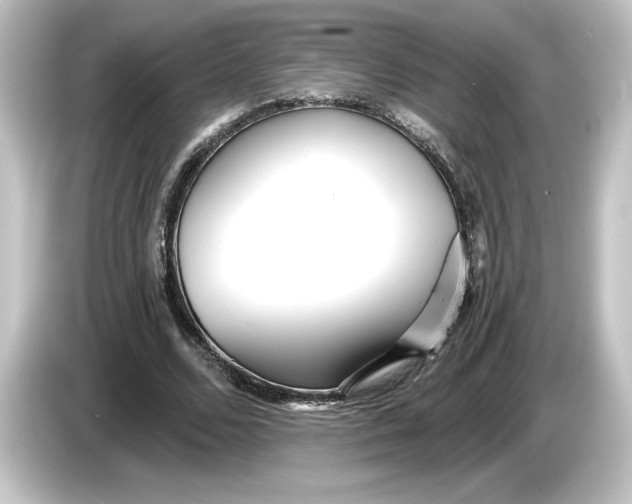 X0000084540680200703161628