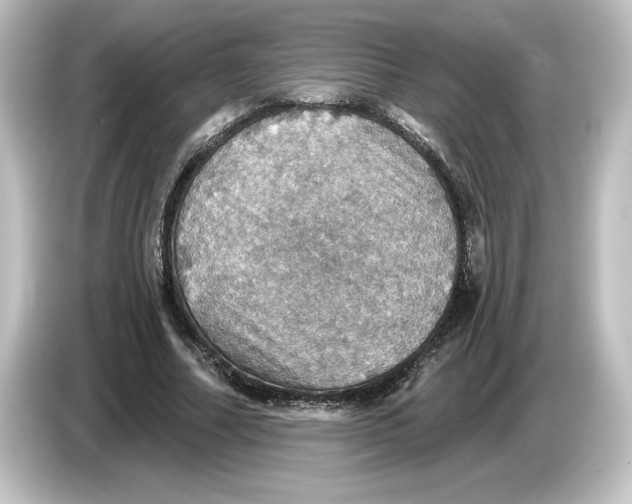 X0000084540682200703161628