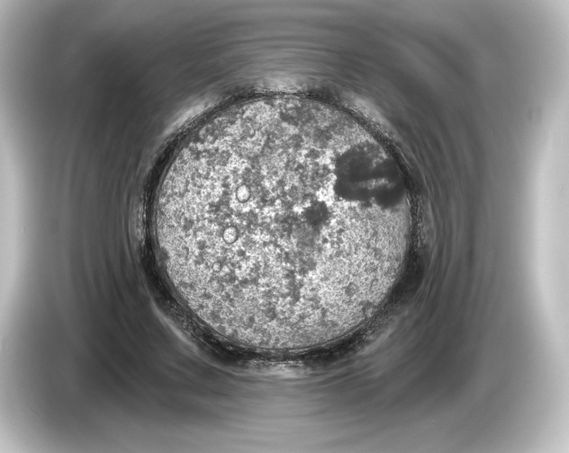 X0000084540683200703161628