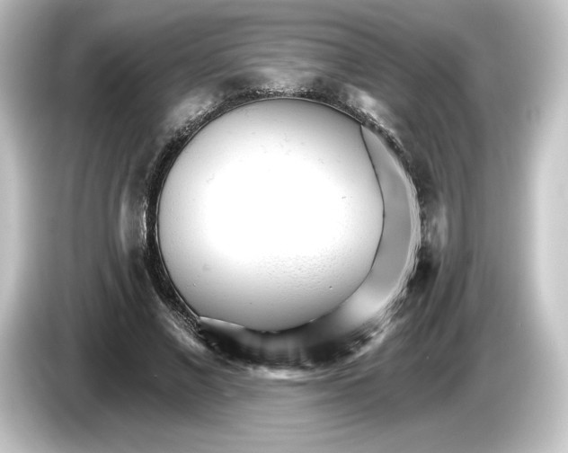 X0000084540685200703161628