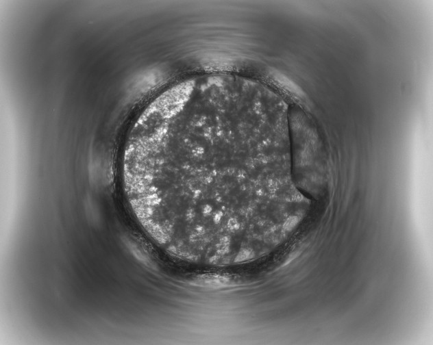 X0000084540687200703161628