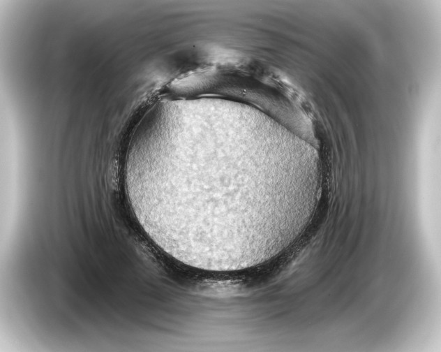 X0000084540689200703161628