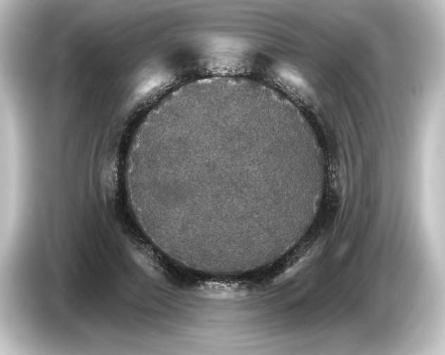 X0000084540690200703161628