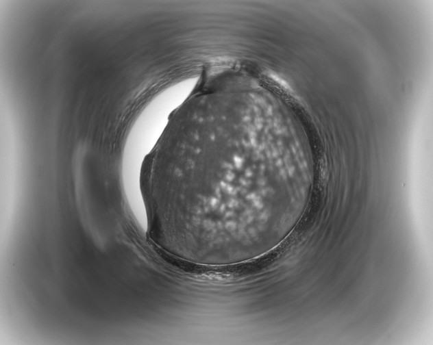 X0000084540691200703161628