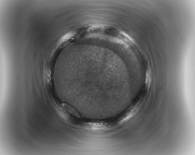 X0000084540693200703161628