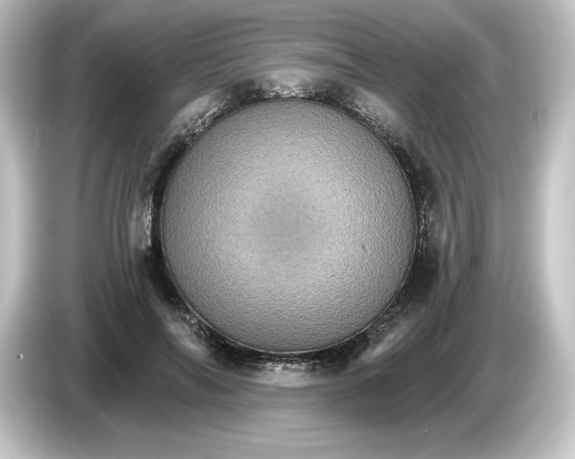 X0000084540694200703161628