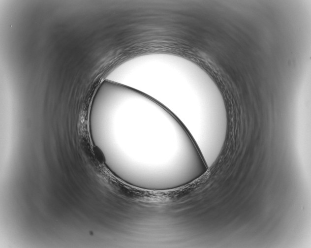 X0000084540696200703161628