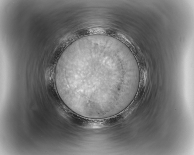 X0000084540701200703161628