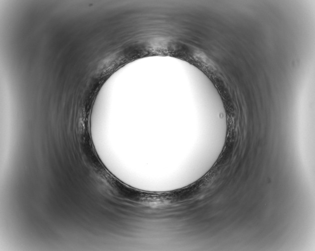 X0000084540702200703161628