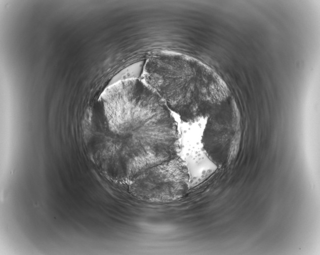 X0000084540703200703161628