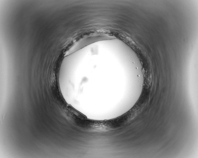 X0000084540704200703161628