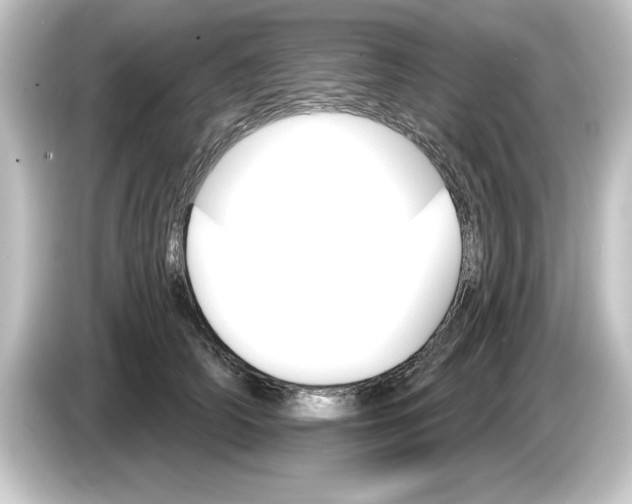 X0000084540706200703161628