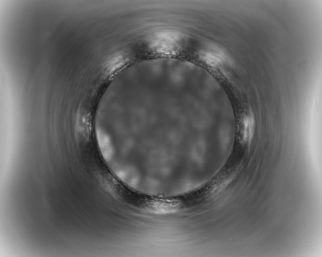 X0000084540707200703161628