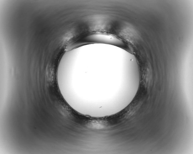 X0000084540708200703161628