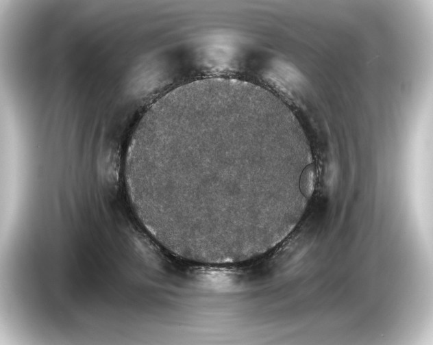 X0000084540710200703161628