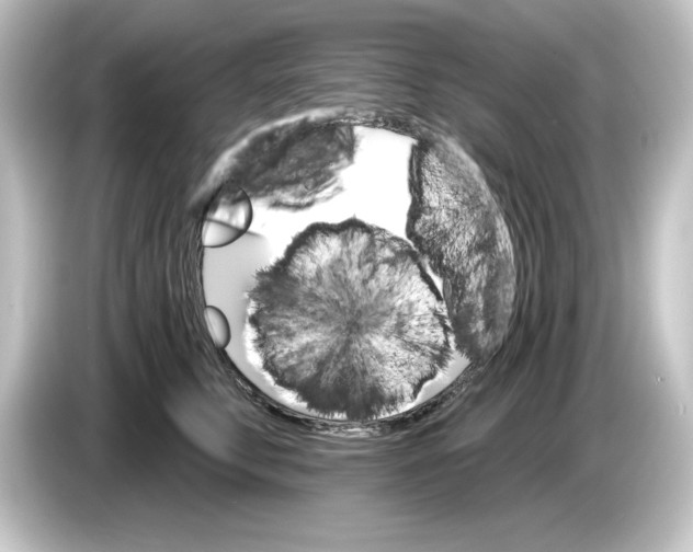 X0000084540711200703161628