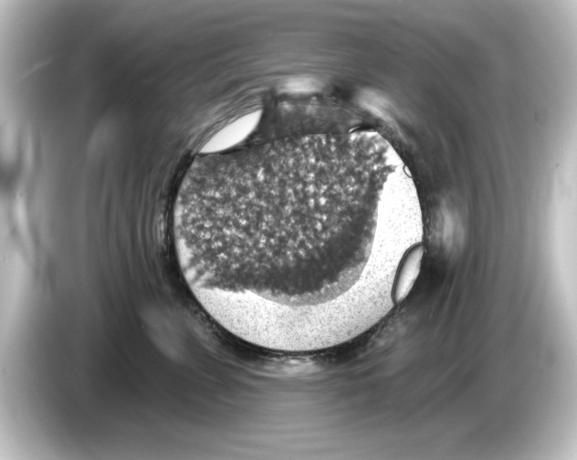 X0000084540715200703161628