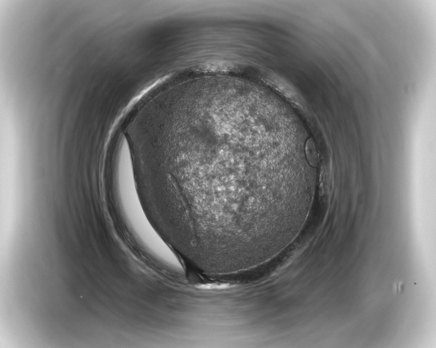 X0000084540722200703161627