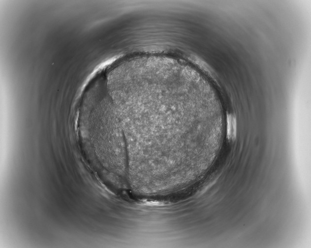 X0000084540723200703161627