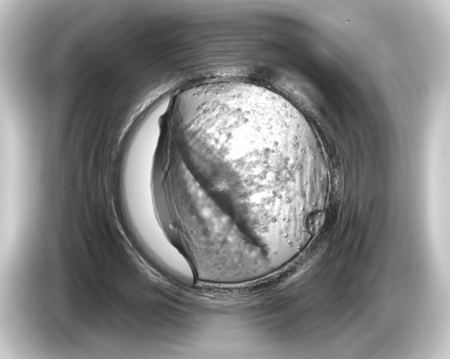 X0000084540725200703161627