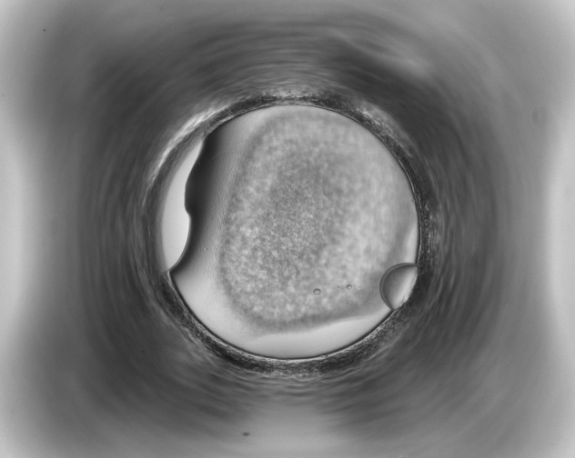 X0000084540727200703161627