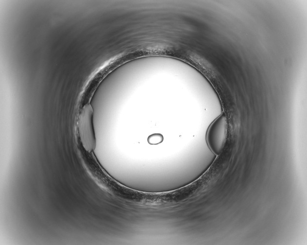 X0000084540728200703161627