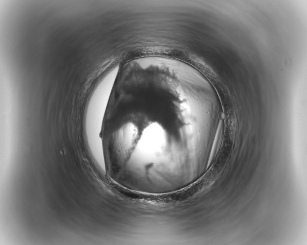 X0000084540729200703161627