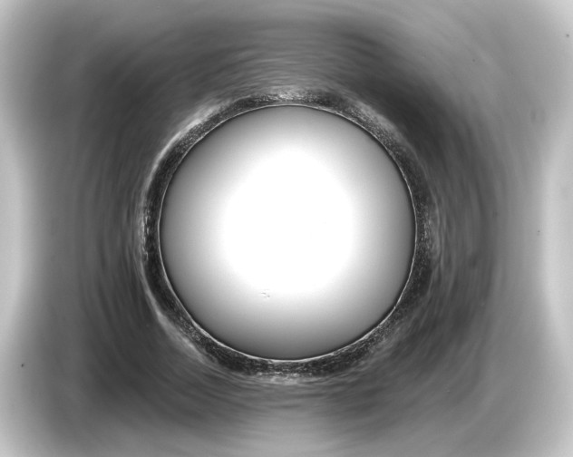 X0000084540730200703161627