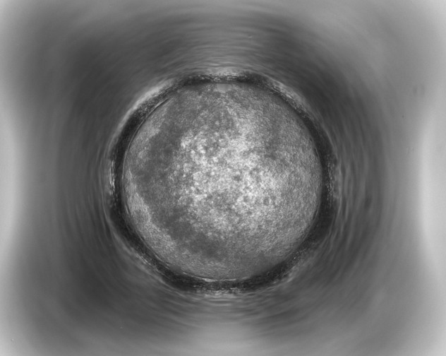 X0000084540731200703161627