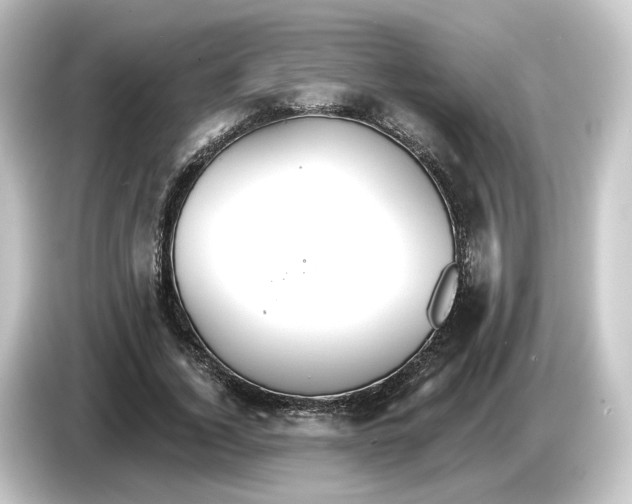 X0000084540732200703161627