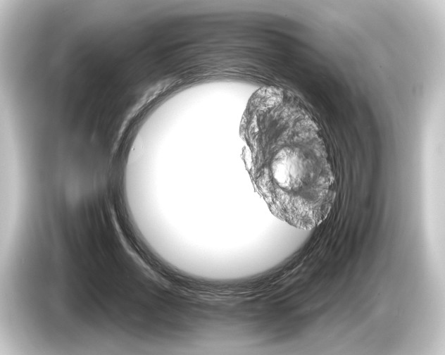 X0000084540734200703161627