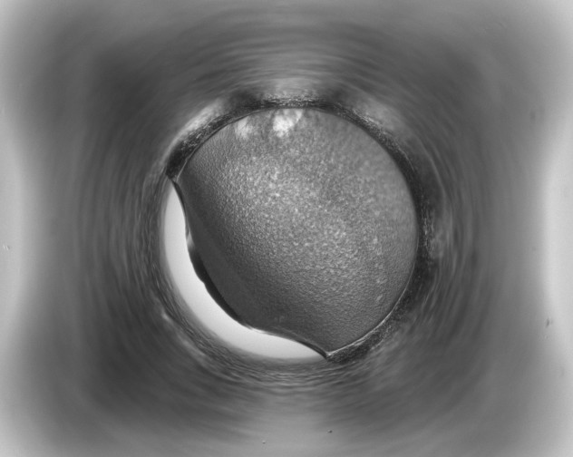 X0000084540735200703161627