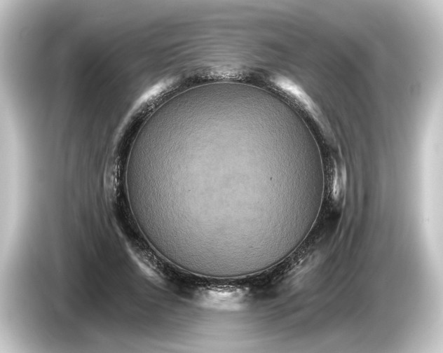 X0000084540736200703161627